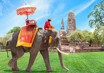 Aller voir les éléphants en Thaïlande